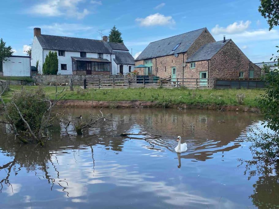 Mallards Barn On A Rural Farm *