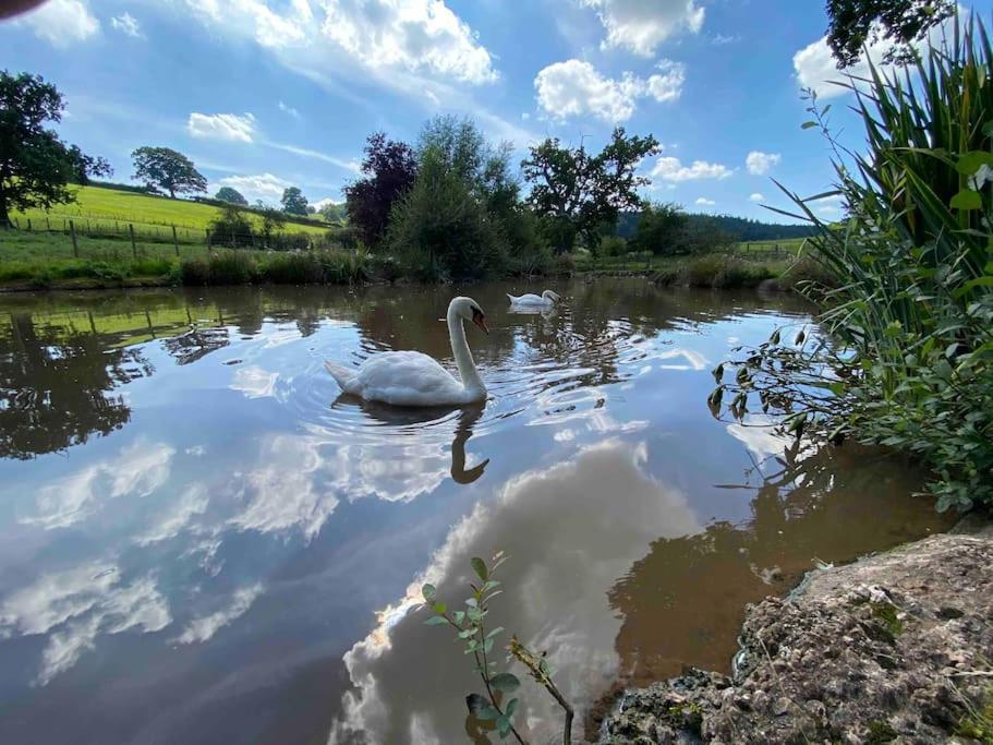 Mallards Barn On A Rural Farm Holiday home